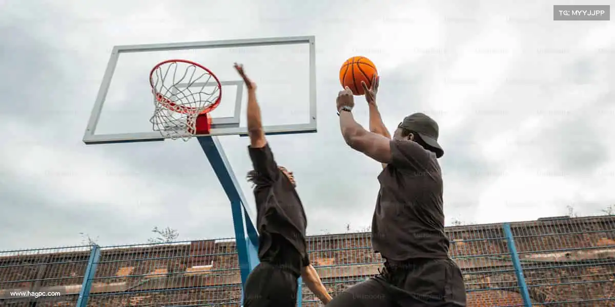 行业领先的理由